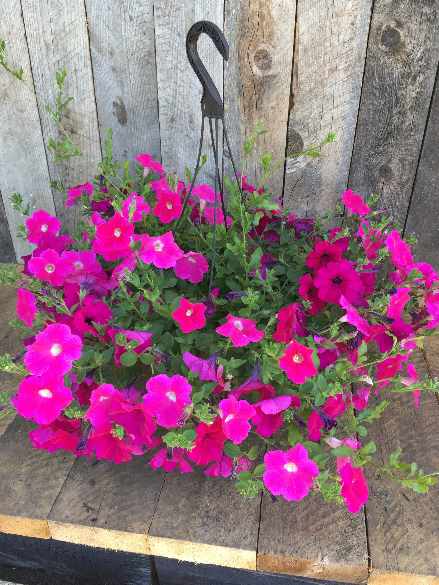 HANGING FIBER BASKET 'SUN'