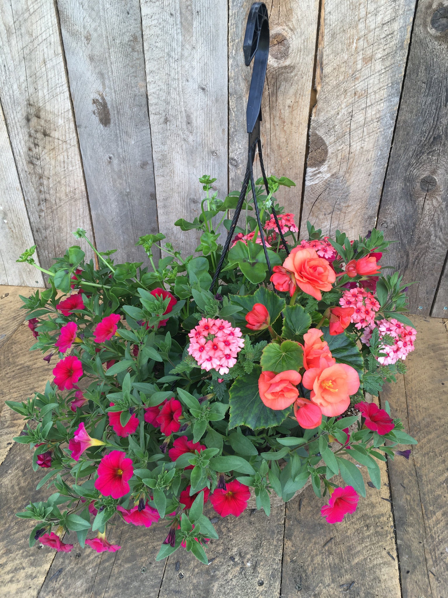 HANGING FIBER BASKET 'FILTERED SUN'
