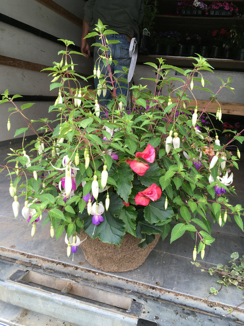 HANGING FIBER BASKET 'SHADE'