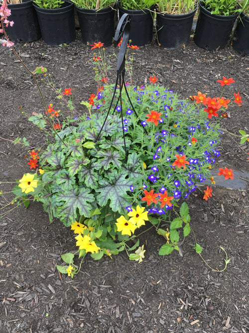 HANGING FIBER BASKET 'FILTERED SUN'