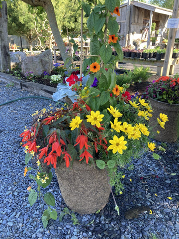 SHADE PLANTER (15 INCH)
