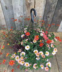 HANGING FIBER BASKET 'SUN'