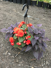 HANGING FIBER BASKET 'SHADE'