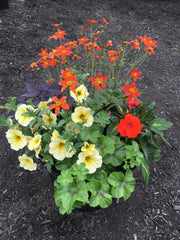 LARGE PLANTER 'FILTERED SUN'